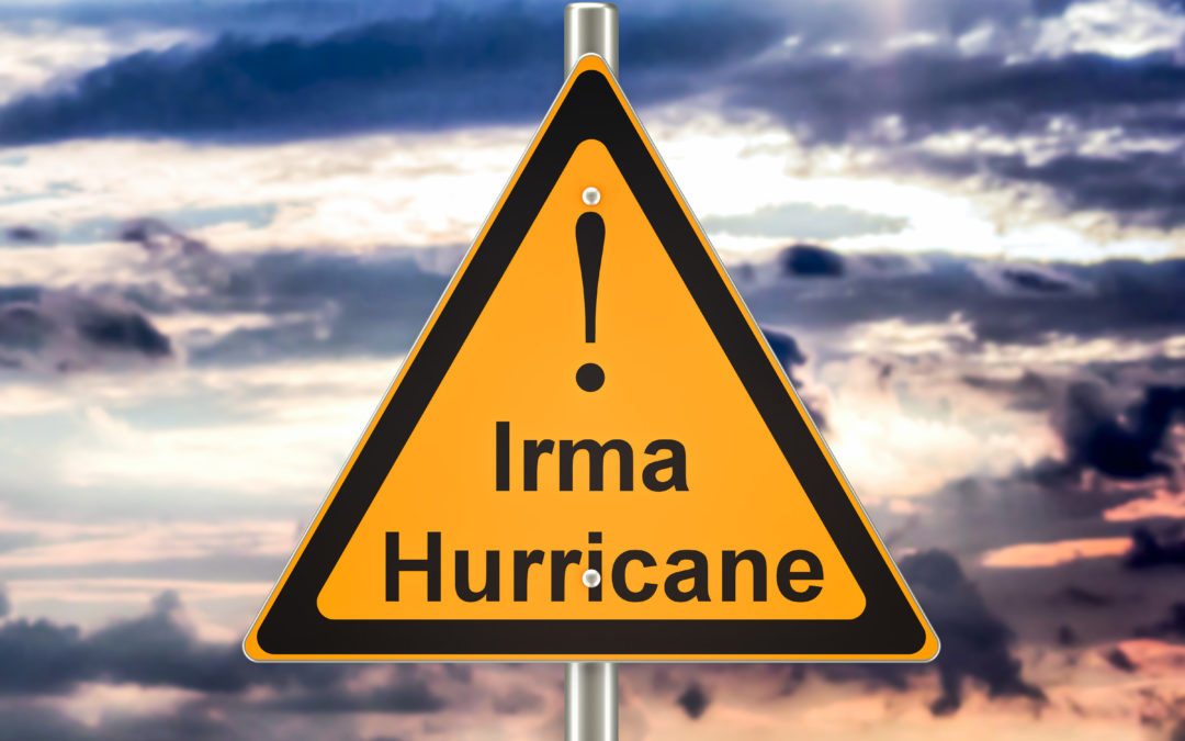 Investing and Preparing for the Storm