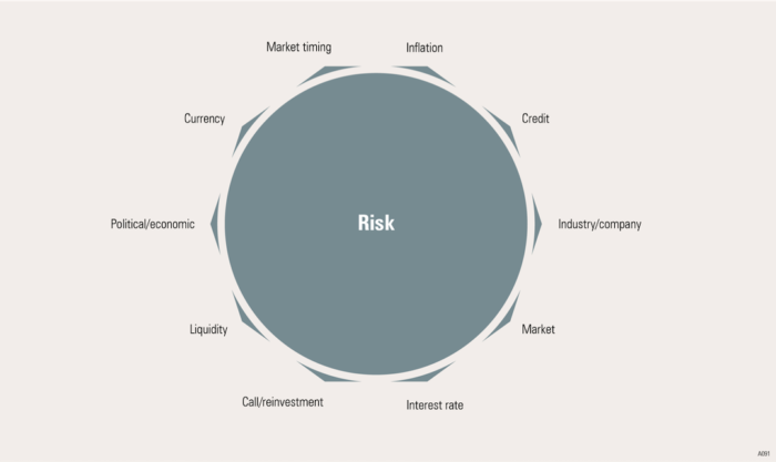 Morningstar Risk Graphic